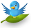 Follow me on Twitter!